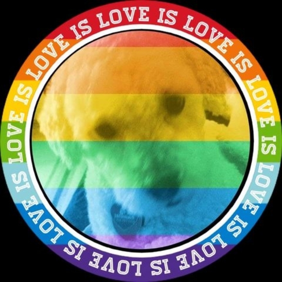 Meet your Posher, Chase - Picture 1 of 1